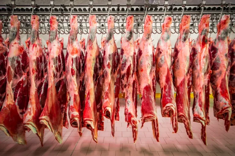 Rows of hanging skinned carcasses in a meat processing facility